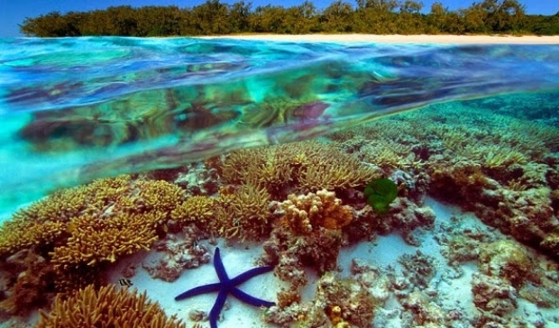 Marea barieră de corali  Australia