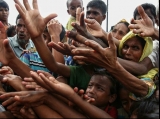 Refugiați rohingya