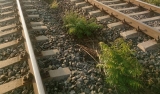 Accident pe calea ferată