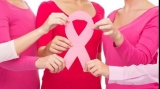 Studiul deschide noi căi pentru tratamente suplimentare în vederea tratării cancerului de sân 