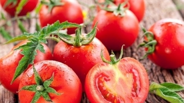 Programul Tomata