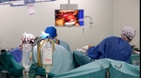 Agenția Națională de Transplant, acord cu Republica Moldova pentru schimbul de organe