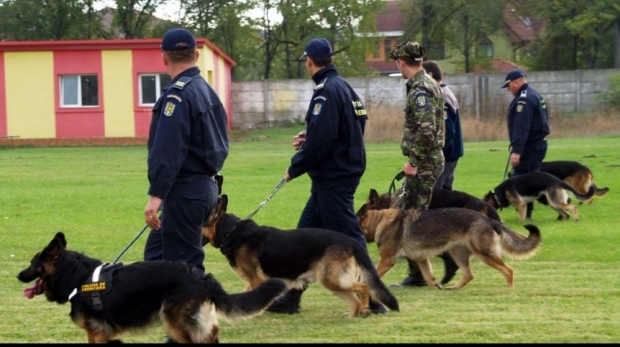 Poliția vrânceană donează şase câini lup