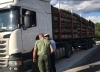 Control camion cu lemne