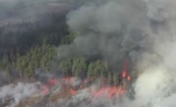 Incendiu de pădure la Cernobîl