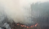 Incendiu de pădure la Cernobîl