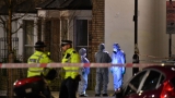 Copii, injunghiați mortal la Londra
