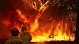Australia, incendii păduri