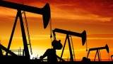 Bulgaria vrea să aibă companie petrolieră de stat