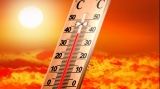 O treime din populația lumii ar putea suferi din cauza căldurii extreme