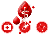 Reguli pentru donarea de sânge total, plasmă