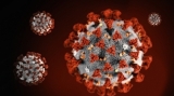 Record de persoane infectate cu SARS – CoV - 2 (COVID – 19), în lume