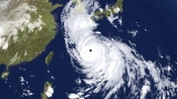 Taifunul Haishen