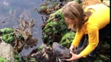O fetiță din Australia a salvat un rechin