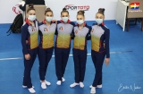 Echipa feminină de gimnastică a României