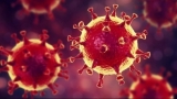Coronavirus în Italia încă din noiembrie 2019