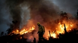 Brazilia, incendii forestiere