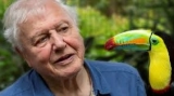 Naturalistul britanic David Attenborough