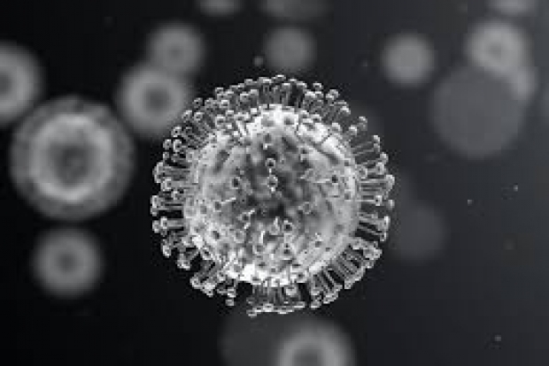 Virusul SARS-CoV-2 în celulele umane - coronavirus