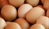 Scandalul ouălor contaminate