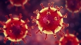 Cercetători americani au identificat un nou posibil tratament antiviral împotriva COVID-19
