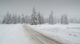 Drum, zăpadă