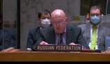 Rusia la Consiliul de Securitate al Națiunilor Unite