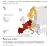 Hartă. Răspîndirea cazurilor de variola maimuței în țările UE/SEE
