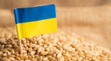 Cereale Ucraina 