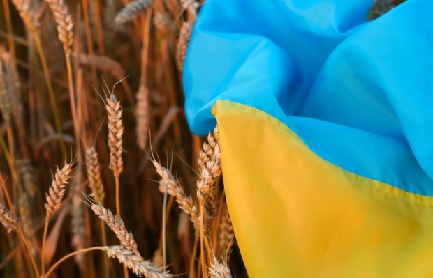 Cereale din Ucraina
