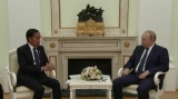 Preşedintele indonezian Joko Widodo și Vladimir Putin