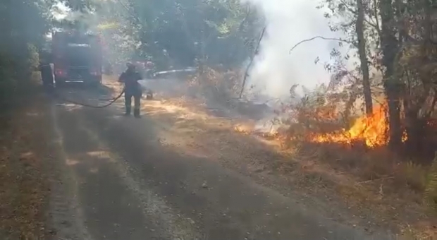 Pompieri români în Franța