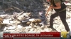 Un urs de pluș, aruncat de suflul exploziei dintr-un apartament din Bahmut, oraș lovit de ruși 