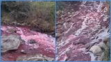 Bistrița-Năsăud: Apa unui râu a devenit roșie