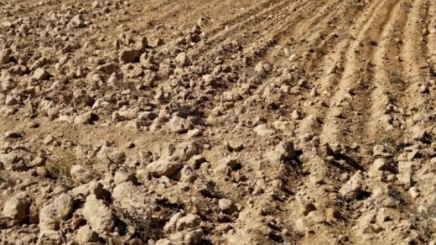 Suprafața agricolă afectată de secetă a depășit un milion de hectare