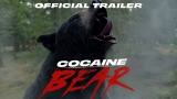 „Ursul de cocaină”