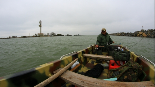 Din Delta Dunării, pescarii hoinari ne aduc un regal al capturilor de ştiucă 