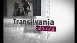 Totul despre „Fest:In” aflați de la „Transilvania Culturală”