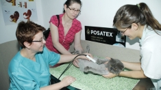 Poveşti de succes create de români, din grijă pentru animale