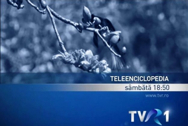 Teleenciclopedia