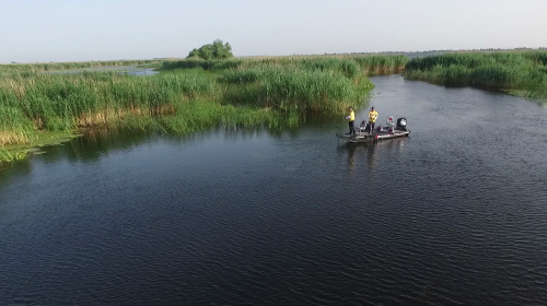 „Pescar hoinar” merge în căutarea celor mai mari răpitori din Delta Dunării