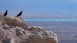 Marea Moartă 3
