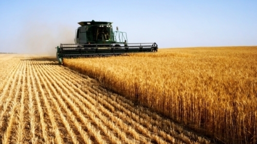  Investiţiile în agricultură pe agenda autorităţilor