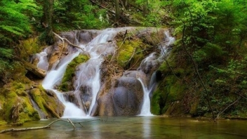 Teleenciclopedia: Comorile Parcului Național Cheile Nerei-Beușnița