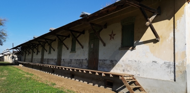 Perieți