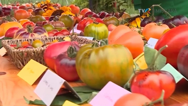 TOMATE
