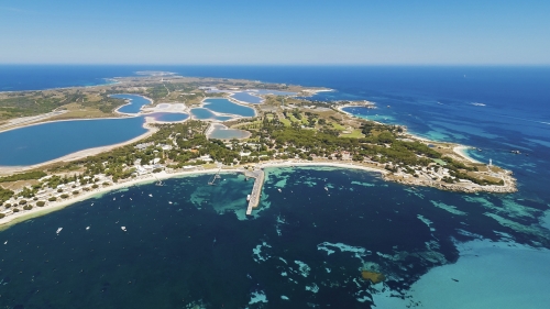 „Teleenciclopedia”: premieră despre insula Rottnest | VIDEO