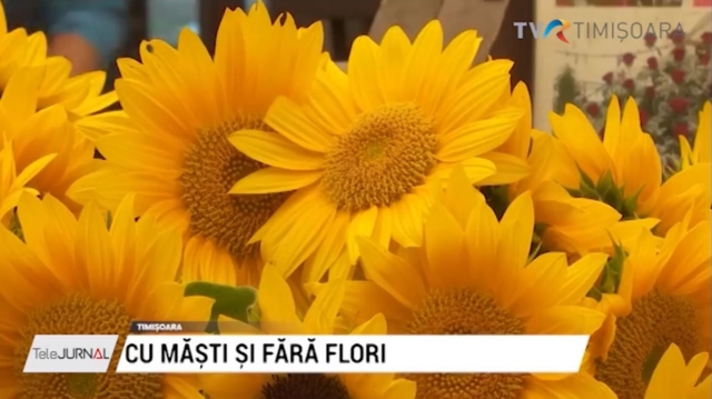 flori
