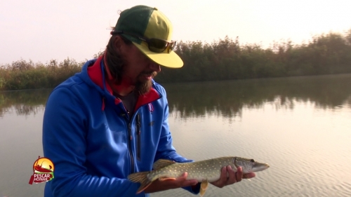 Delta Dunării, paradisul pescarilor sportivi