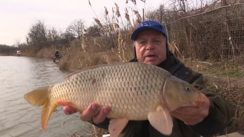 Pescar hoinar: Iazuri noi, bucurii vechi...  | VIDEO 